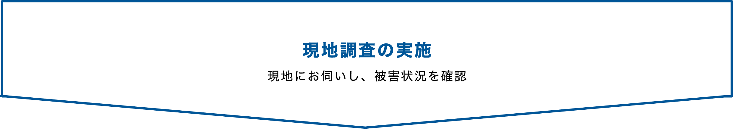 現地調査の実施