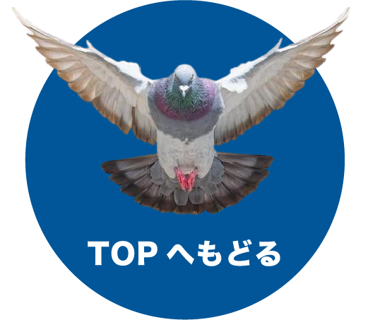 日本鳩対策センター。四国管財株式会社