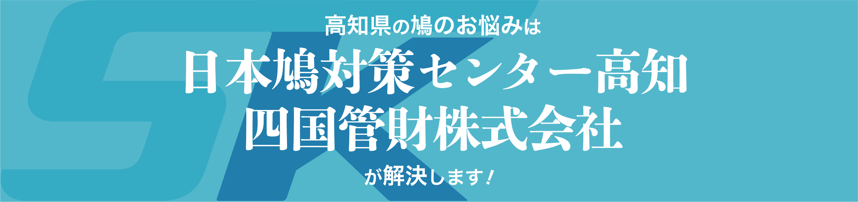高知県の鳩のお悩みは日本鳩対策センター高知四国管財株式会社が解決します！